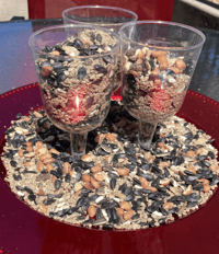 Handmade bird feeder created by memory care residents hanging outdoors at The Lighthouse at Chico Chico CA